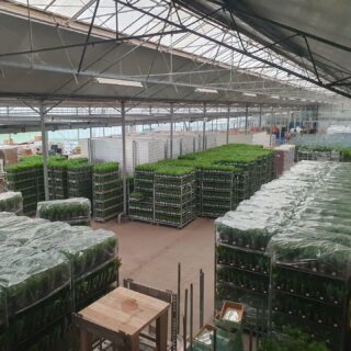 Wij worden wel gelukkig van een beetje ruimte 😉
Er wordt hard gewerkt aan alle orders