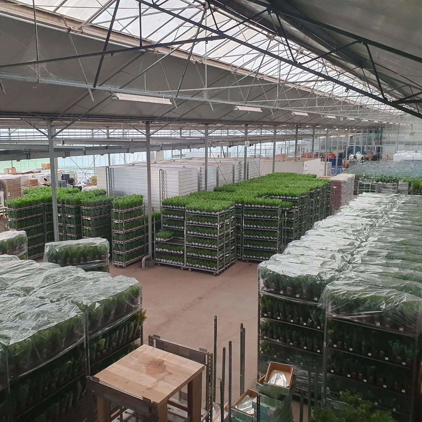 Wij worden wel gelukkig van een beetje ruimte 😉
Er wordt hard gewerkt aan alle orders