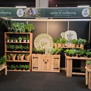 Wij staan twee dagen op de Trade Fair in Rijswijk.  Zien we jullie ook? #tfr2025 #tradefair #ferns #airsopure