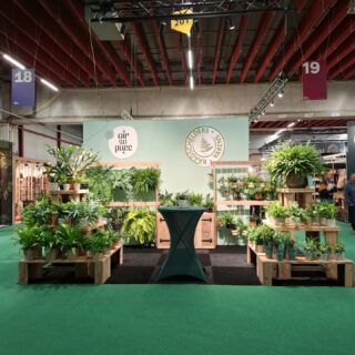 Ook wij staan dit jaar weer op de Royal Trade Fair in Aalsmeer. Kom ons opzoeken in stand 18.26.
#congratstfa25 #tradefair #groenekamerplant #fern