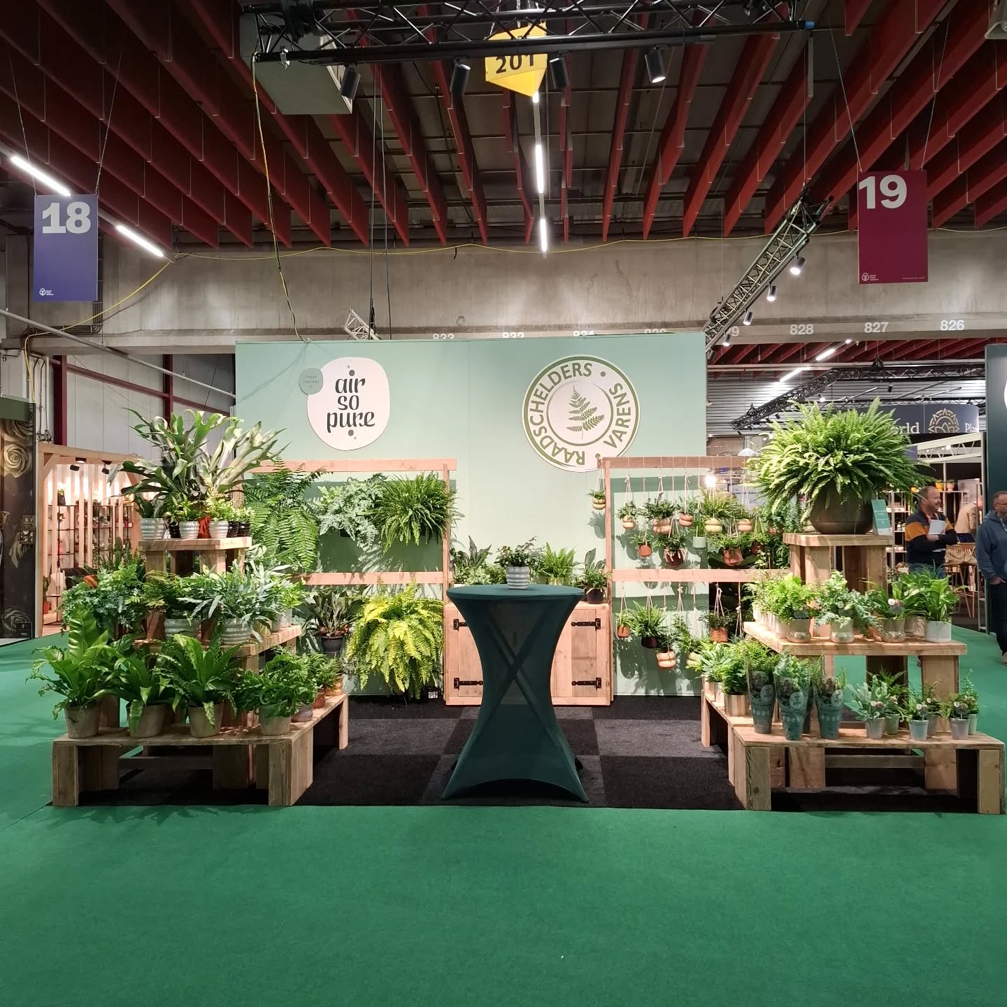 Ook wij staan dit jaar weer op de Royal Trade Fair in Aalsmeer. Kom ons opzoeken in stand 18.26.
#congratstfa25 #tradefair #groenekamerplant #fern